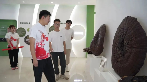 1722485630638162.png image.png